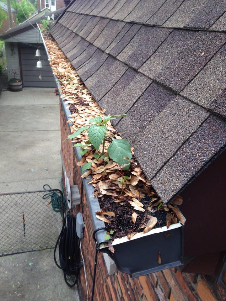 Gutter Cleaning Near Me in High Point NC